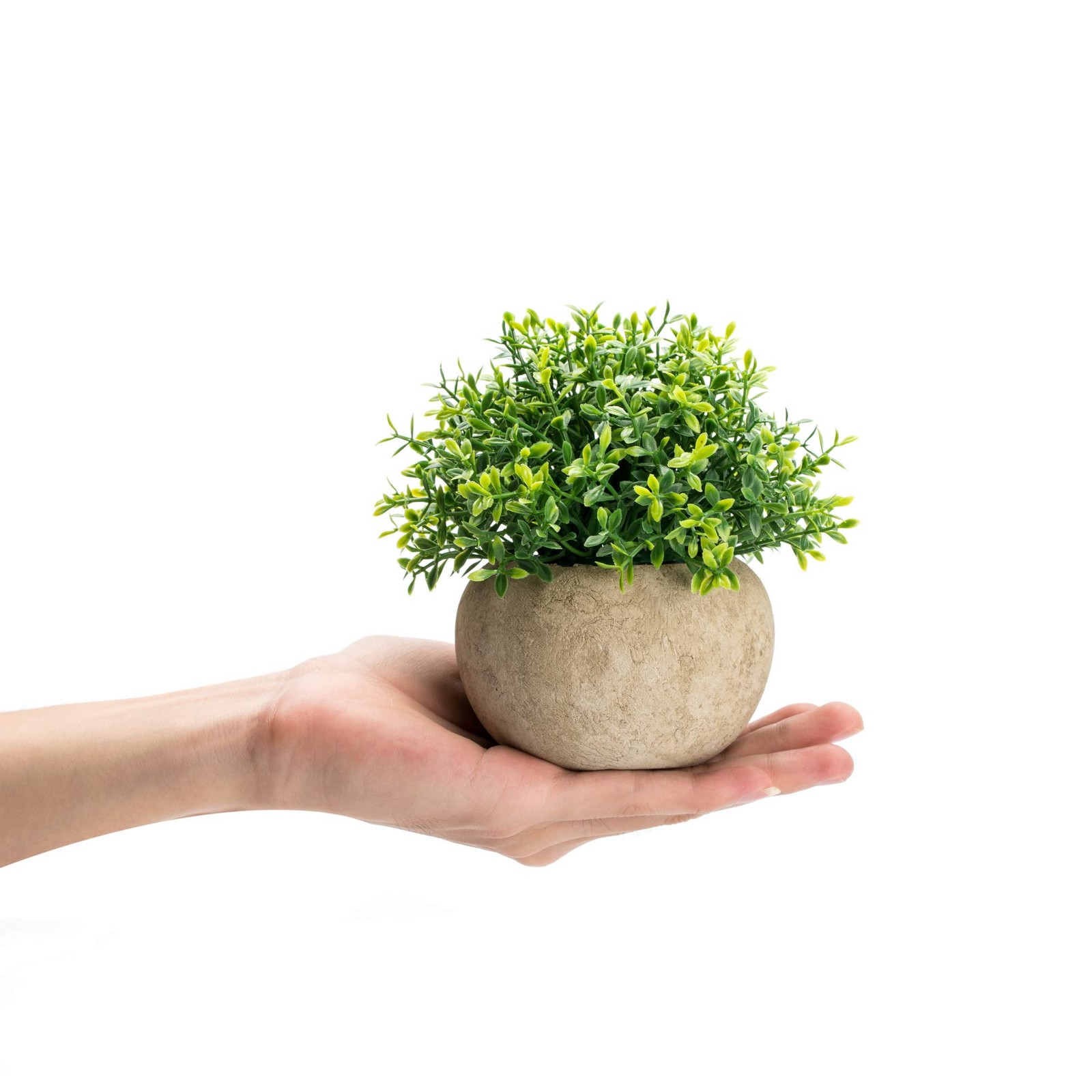 2Pcs Mini Artificial Boxwood Topiary Faux Plants Indoor- Small Fake Plants De…