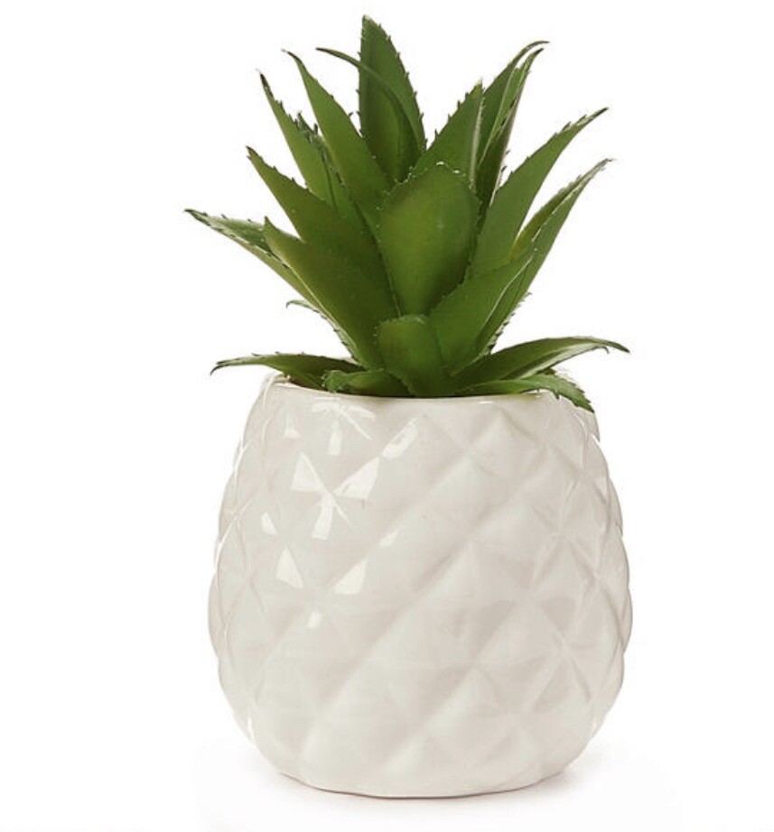 White Pineapple By Real Living Decorative Succulent Home Decor Fake Plant. New