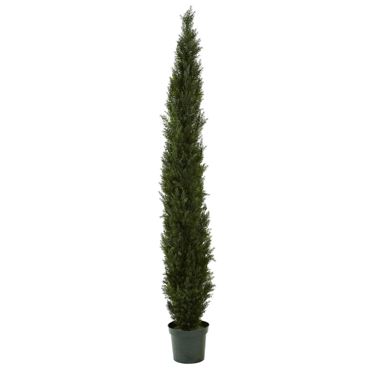 8′ Indoor/Outdoor Mini Cedar Pine Tree