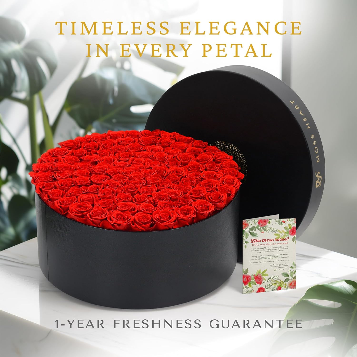 100 Petite Preserved Roses, Large round Shaped Box, Real Forever Roses Last 1+ Y