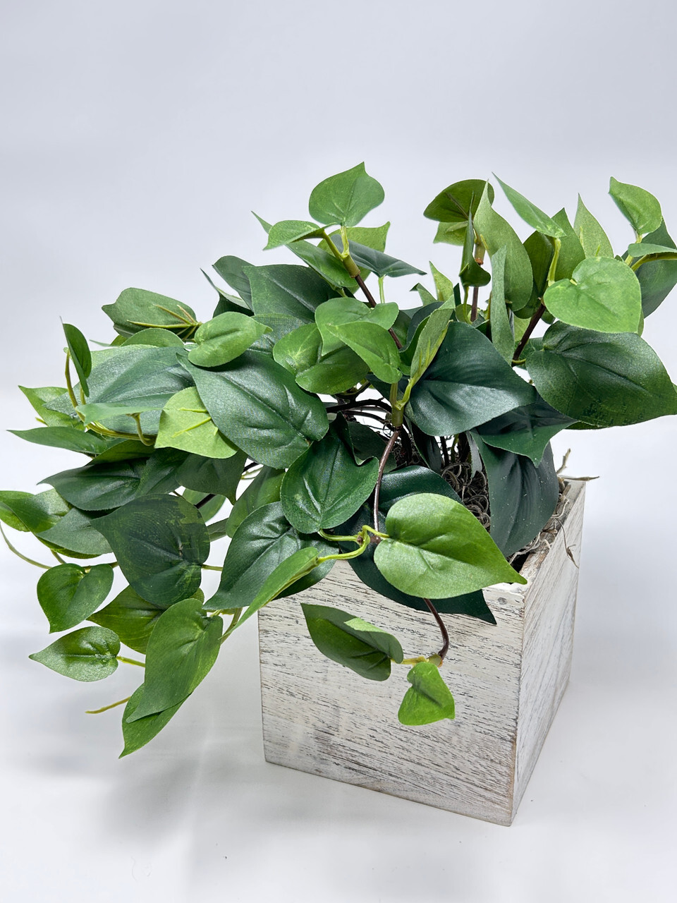 9″ MED Potted faux Green Pothos Vine Silk plant in White wood box – Home Decor