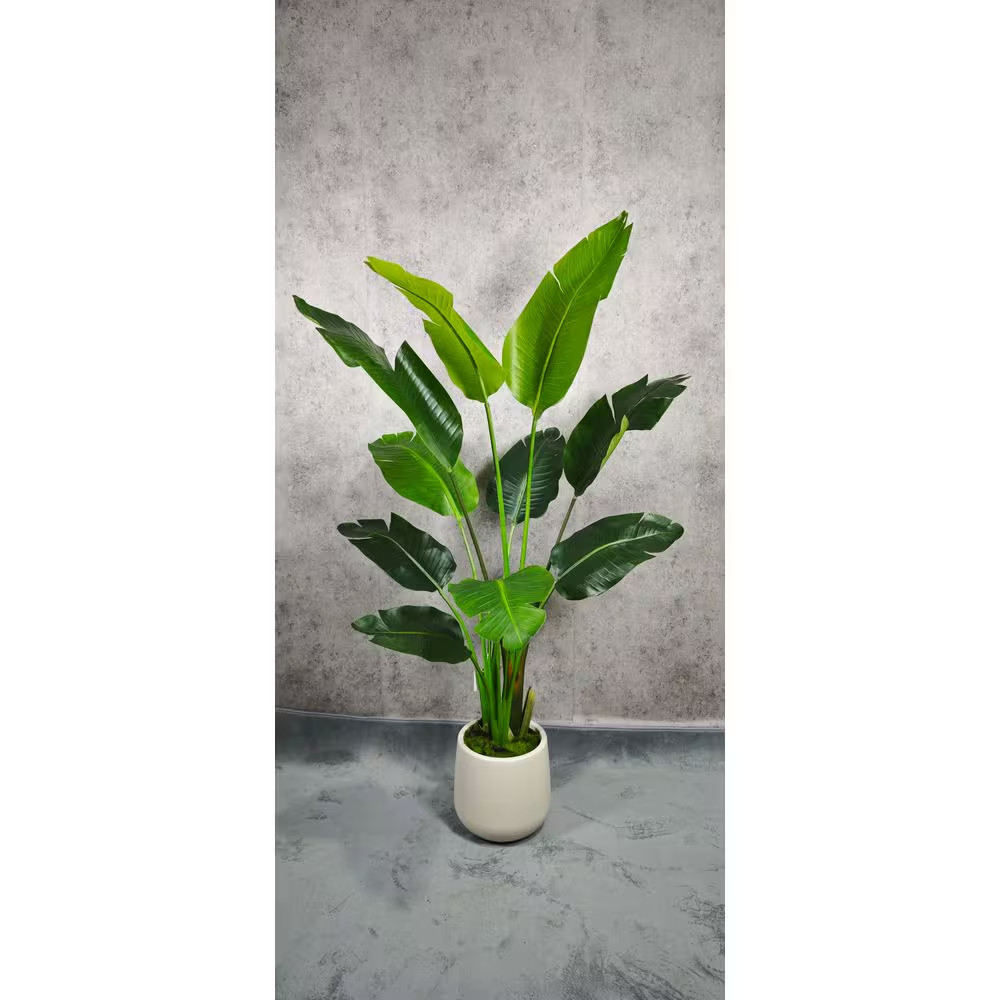 5 Ft. Artificial Banana Leaf Tree Bird of Paradise in White Decor Pot, Faux Gree