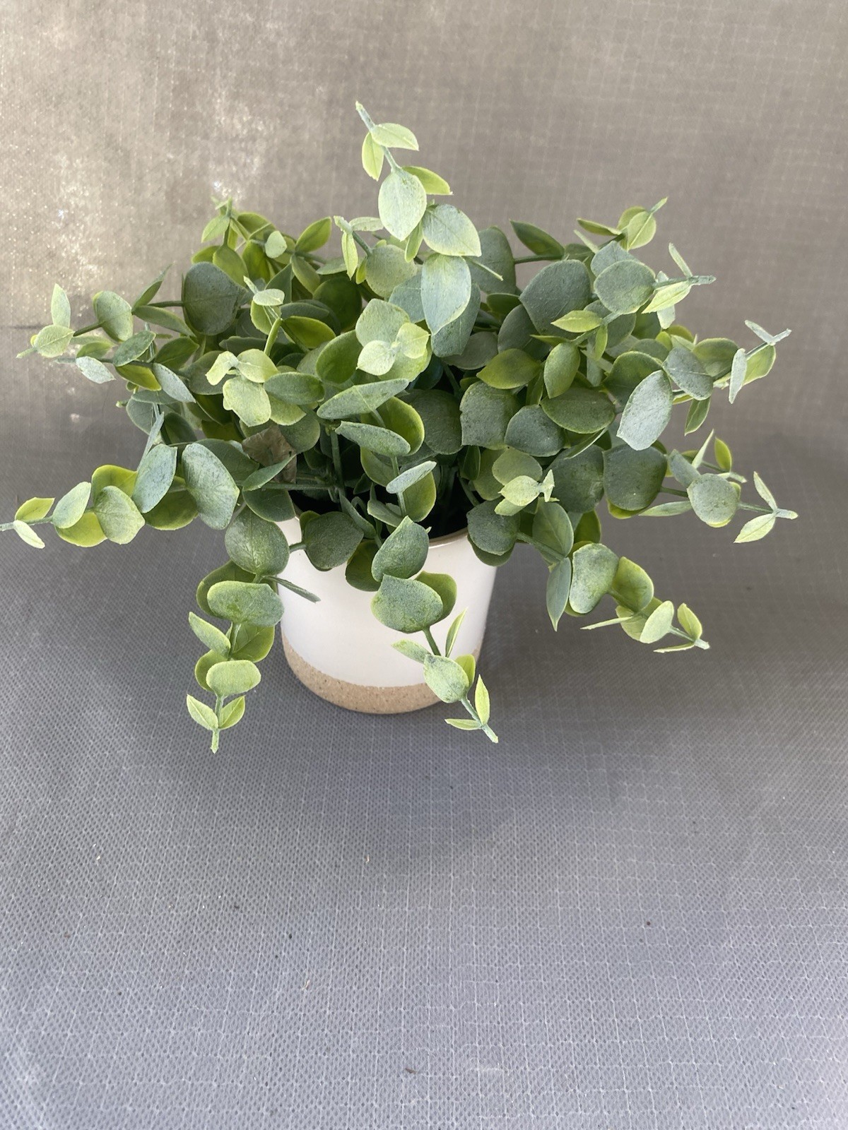 Artificial Eucalyptus Potted Plant, Green Leaf Foliage, White Beige Pot