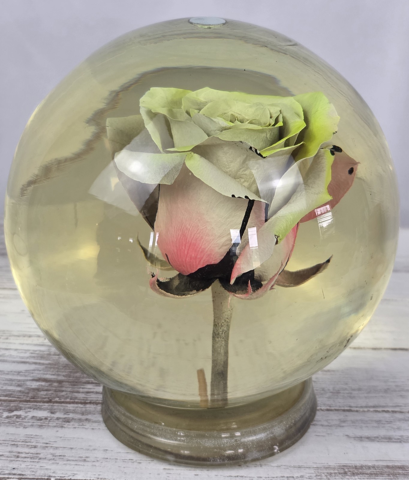 Vintage Forever Yellow/Pink Rose In Glass Ball Water Dome Globe Large 6.5″