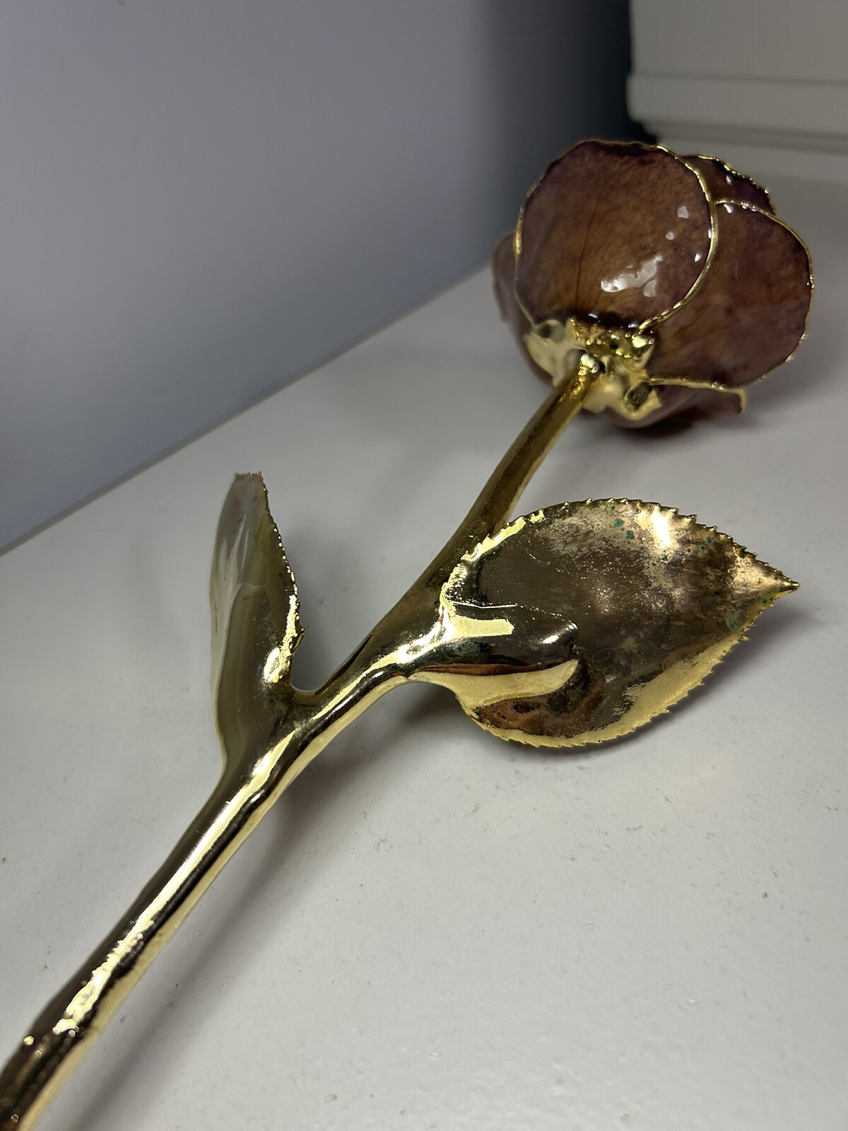 Luxury Lacquered Cream Eternal Pink Rose with Gold Trim