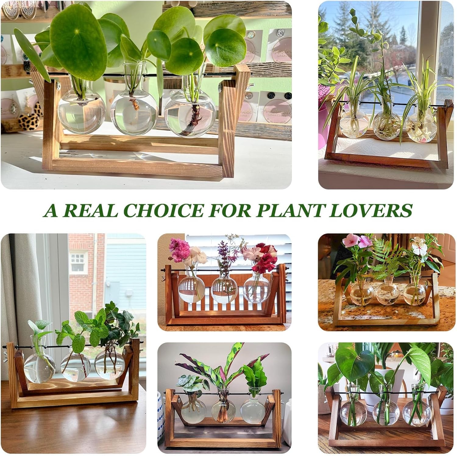 Plant Propagation Stations W/ Wooden Stand & 3 Glass Bulb Vases Plant Terrarium
