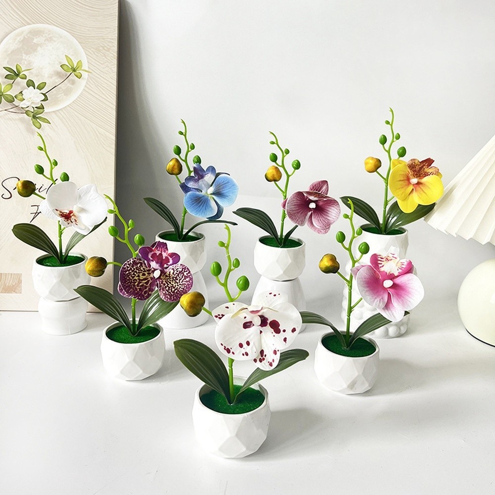 Phalaenopsis Floral Reproduction in Diamond Designed Pot for Contemporary Space