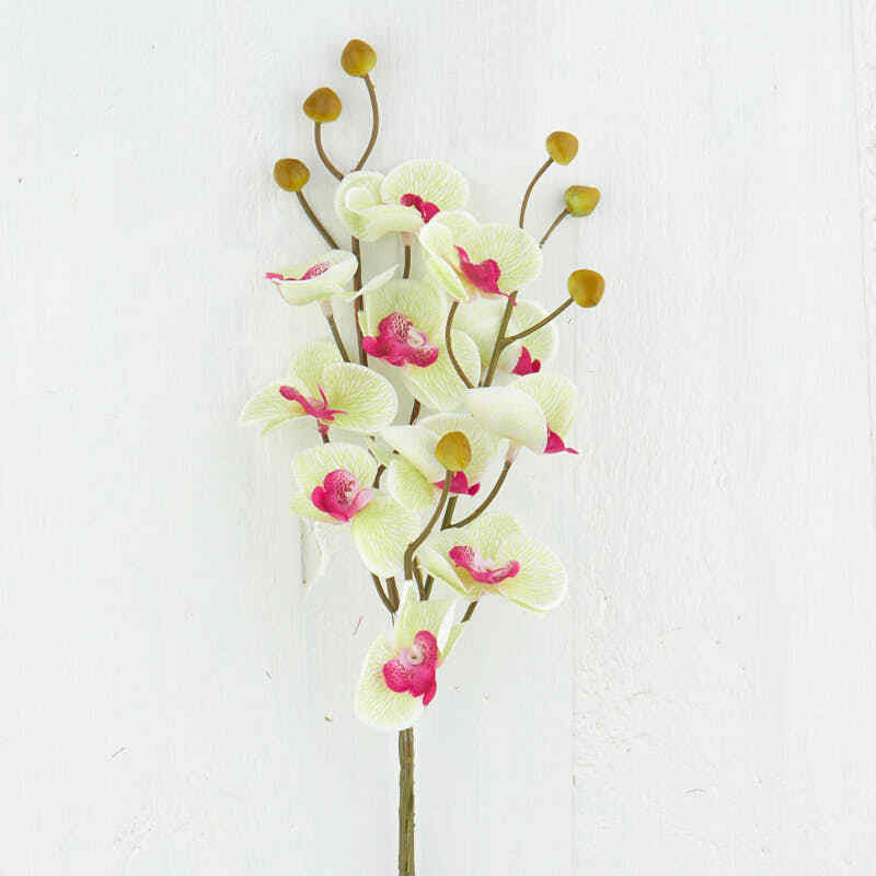 Artificial Cream and Green Phalaenopsis Orchid Sprays