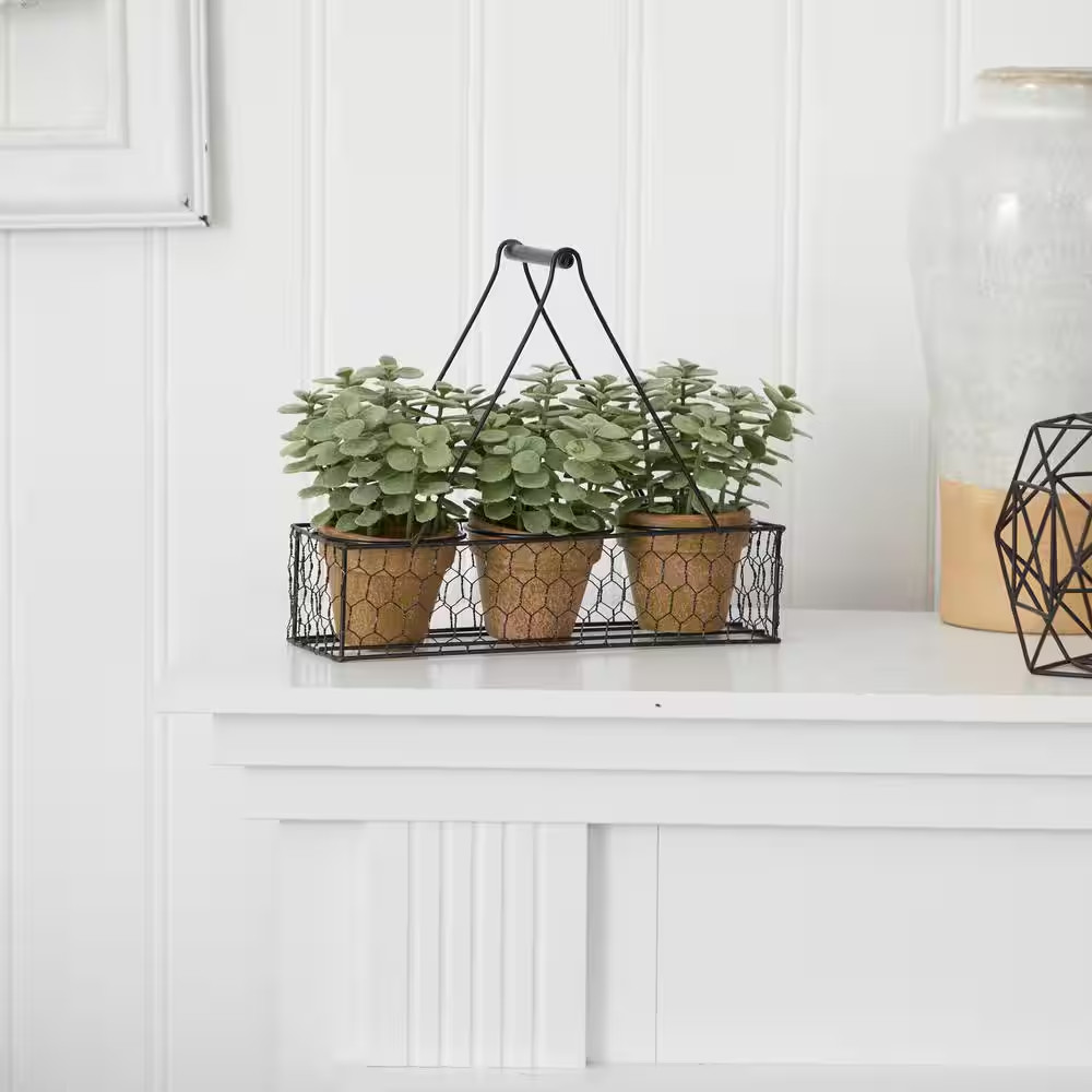 7 In. Artificial Mini Jade Garden Plant in Hanging Planter