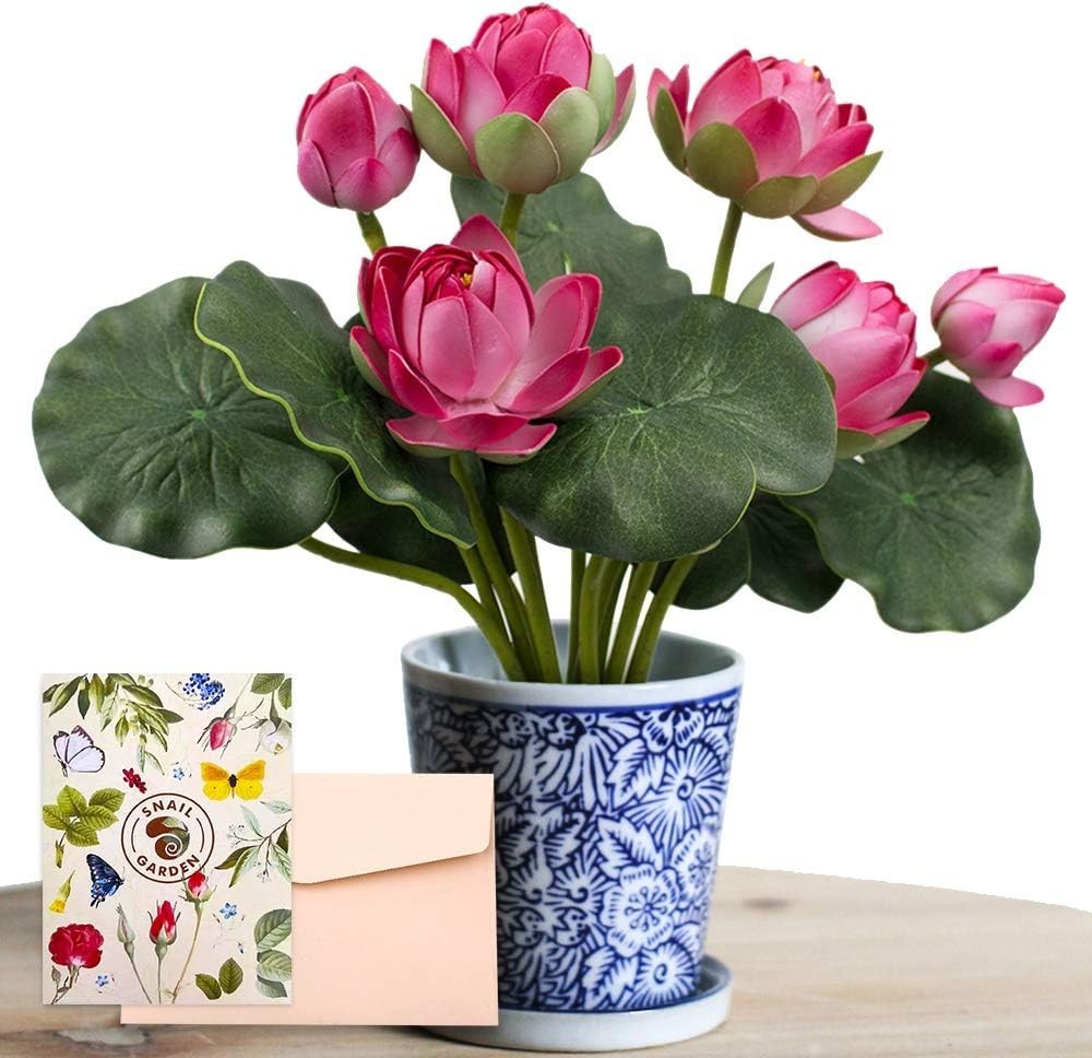 2 Bouquets Artificial Lotus Flowers, Real-Touch Water Lily Simulation Tableto…