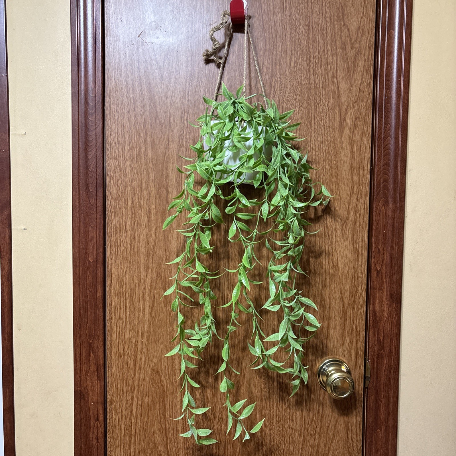 True Living Artificial Vine Hanging Plant, NWT #3