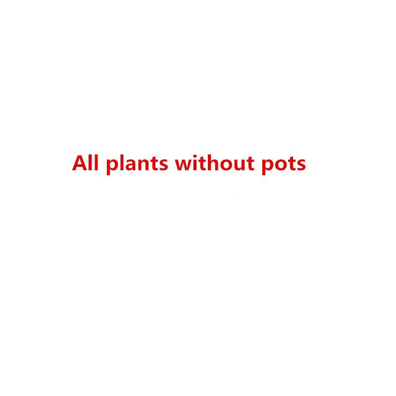 70cm Artificial Monstera Palm Tree Fake Foliage – Home Living Room Office Decor