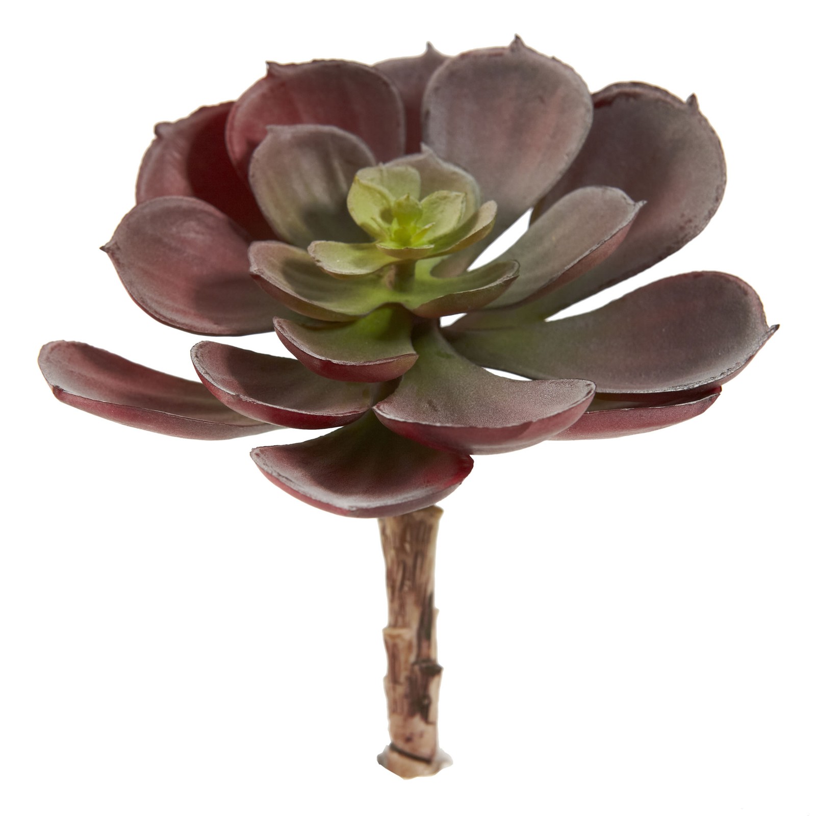 Echeveria Succulent Plant Burgundy Set Of 12 Nearly Natural 6” Realistic Decor