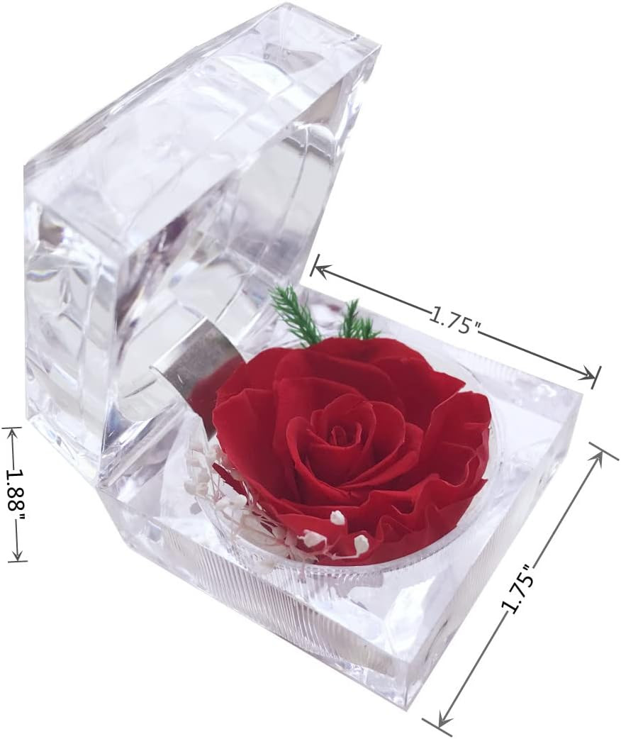 Preserved Rose Real Forever Rose in Mini Clear Ring Box, Eternal Flower Rose