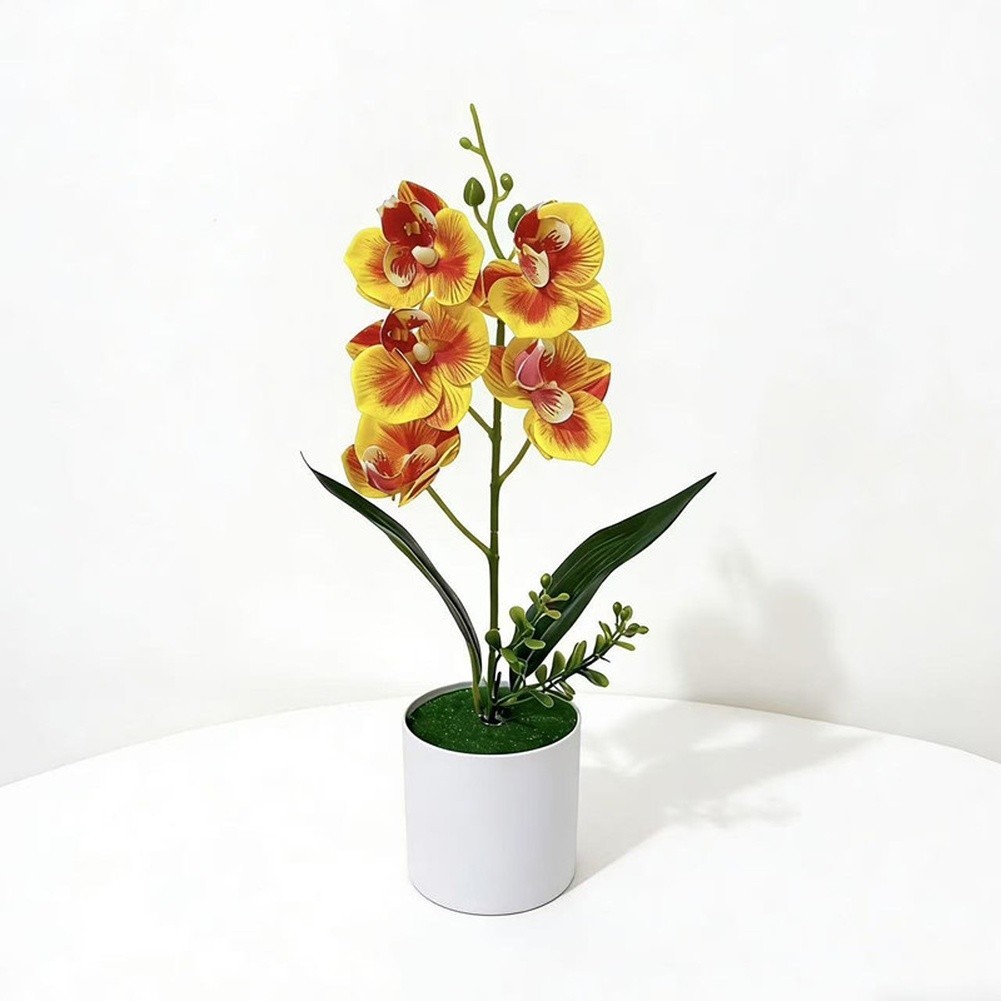 White Yellow Purple Blue Phalaenopsis Orchid Arrangement for Indoor Desk Decor