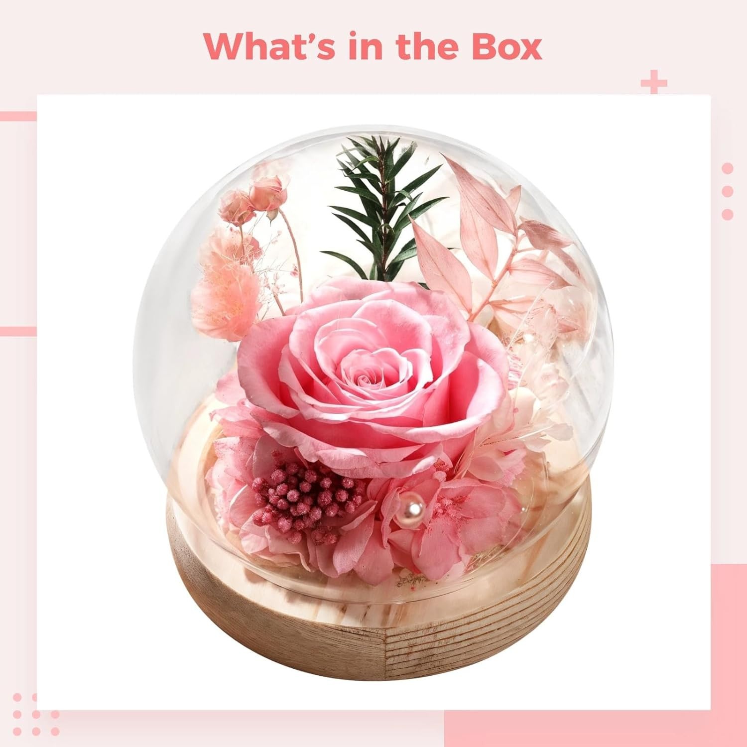Long-Lasting Real Rose Flower, Unique Preserved Floral Gift for All Occasions