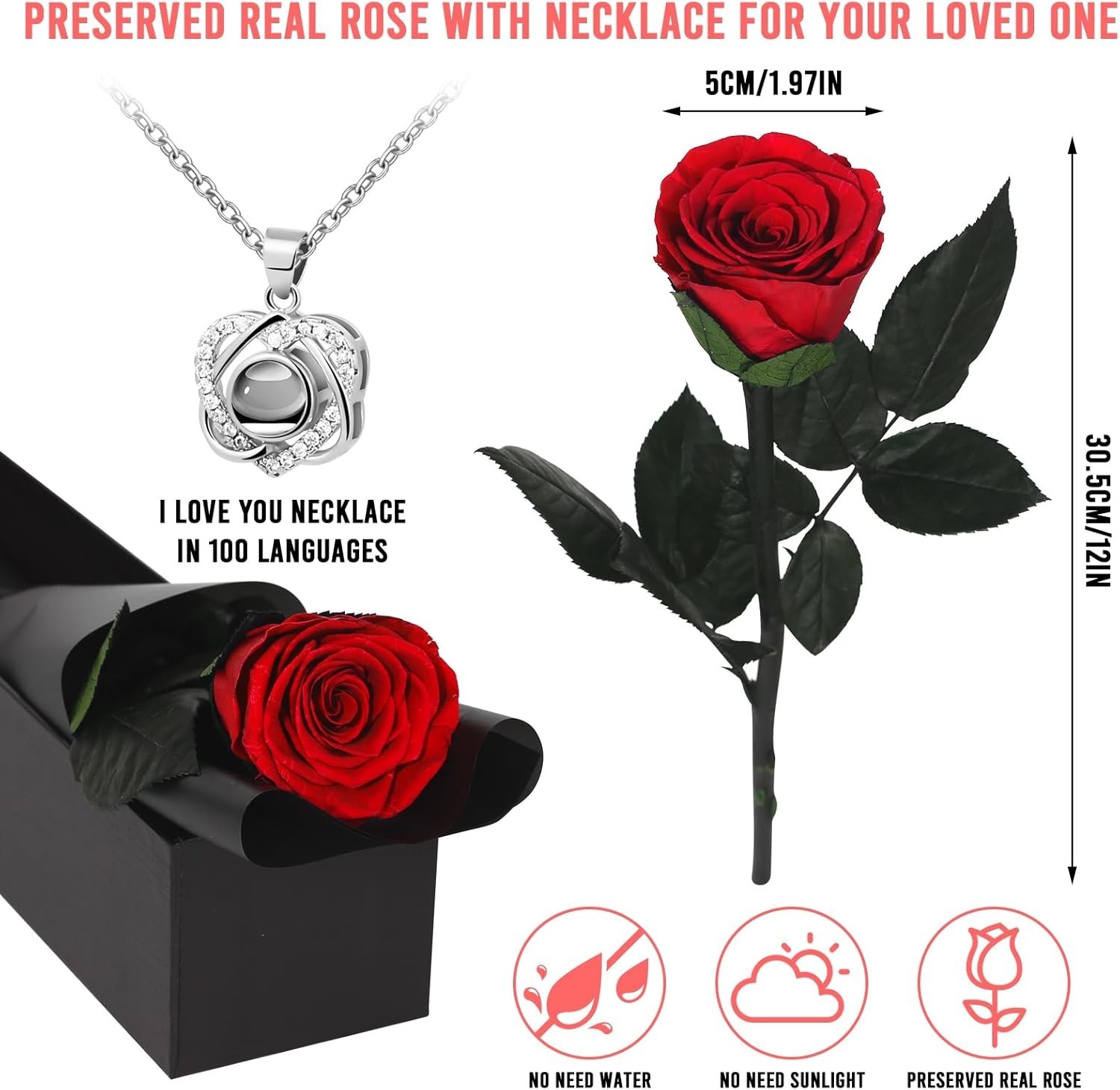 Ledoira Preserved Real Rose Forever Flowers with Heart I Red With Necklace