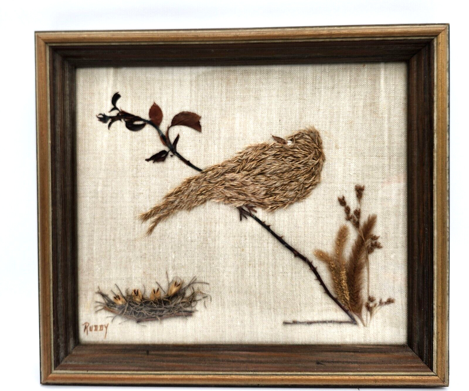 Vintage dried pressed flowers weeds taxidermy wall art bird 14 x 16 wood frame