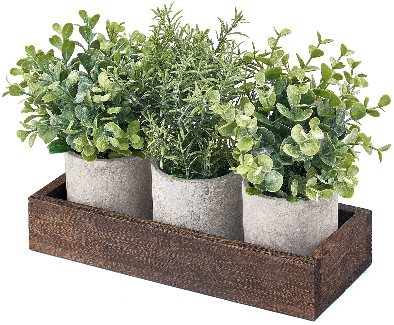 Mini Potted Artificial Eucalyptus 3 Pack Wood Tray Pulp Flower Pots
