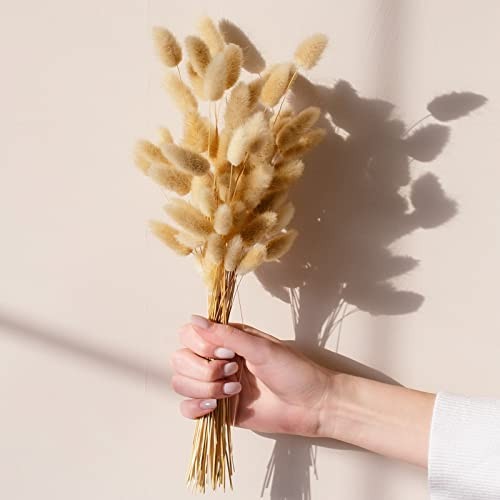 100 PCS Bunny Tails Dried Flowers, Dried Pampas Grass Bouquet, Boho Table Decor,