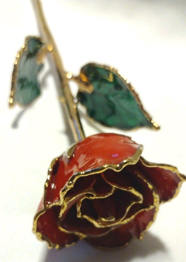24K ROSE CO Real Rose Trimmed In 24k Gold B2