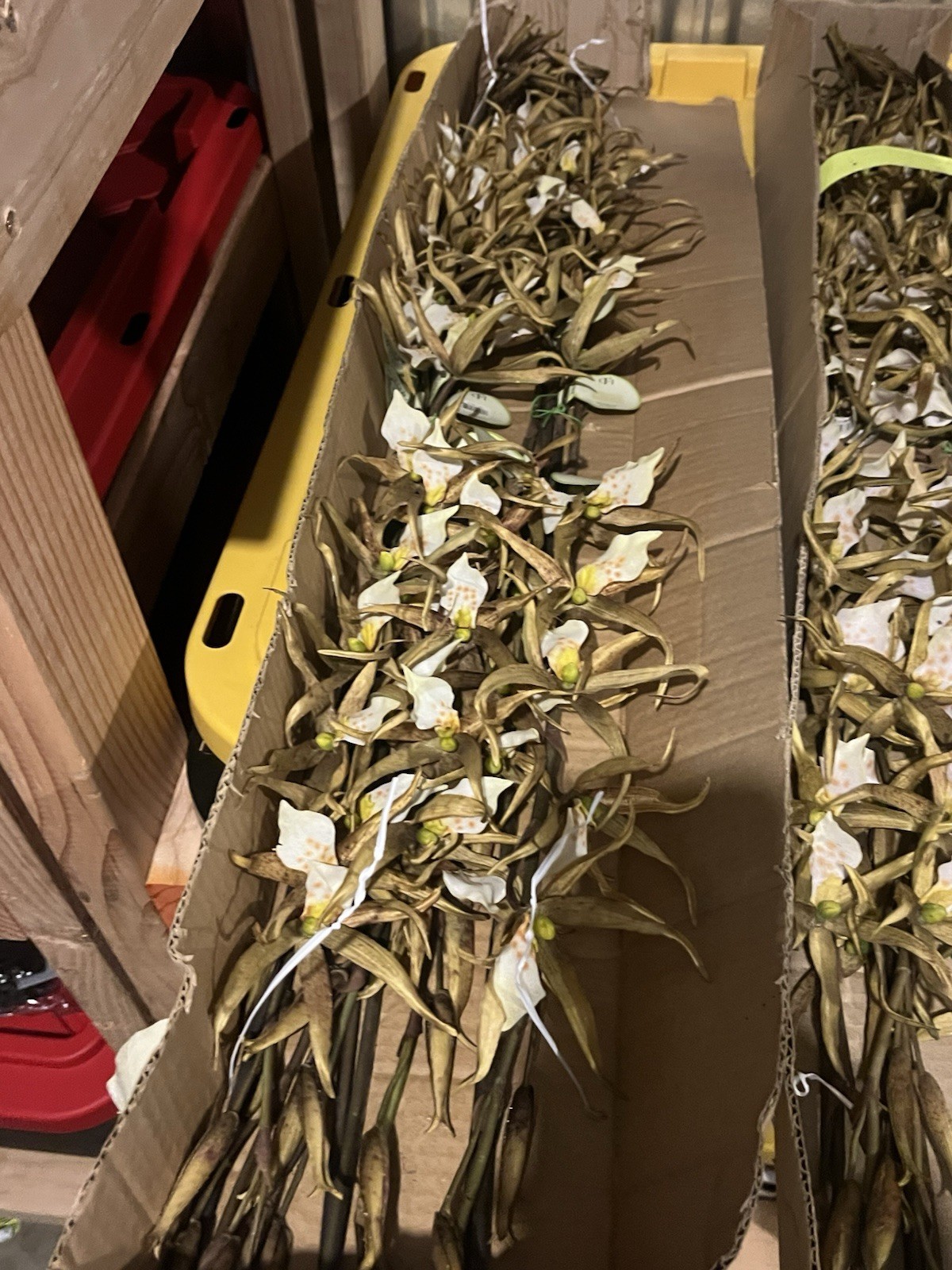 12 Stems Spider Lily Orchid 37″ Tall Green Yellow Artificial Flowers Decor