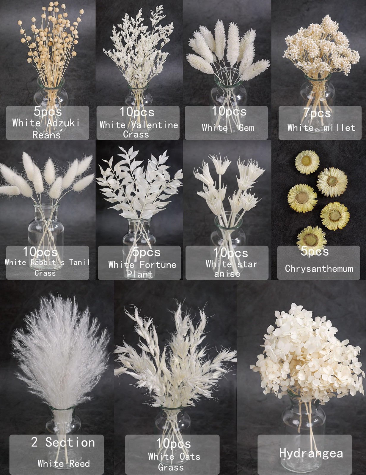 Natural Dried Flower Set, Bulk Dried Flowers with Stems, Dried Daisies, Dried…
