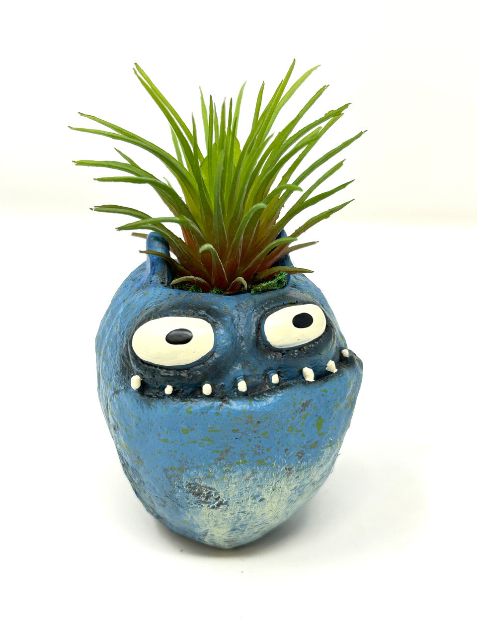 4 in. Potted Blue Monster MURPHY Blob House Mini pot WITH faux Ionantha Air plan