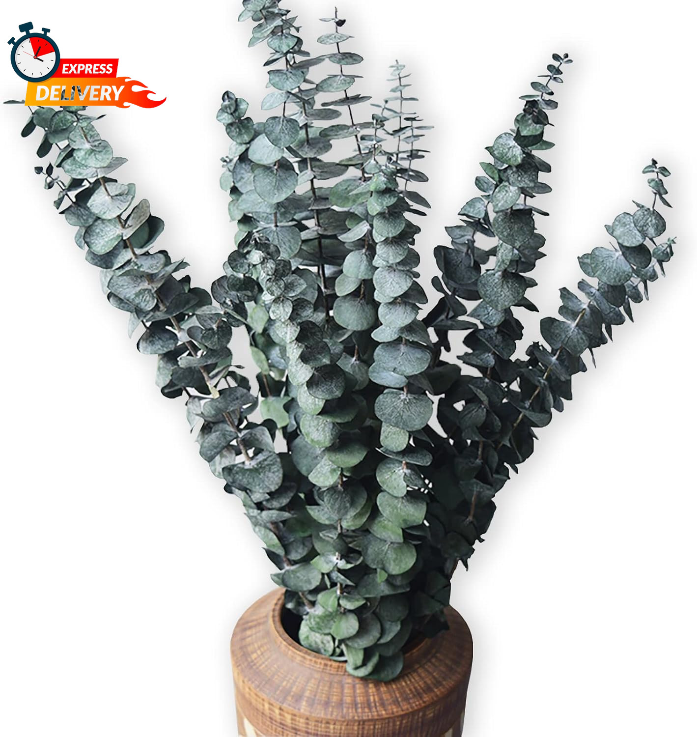 Eucalyptus for Shower 10 Pcs Hanging Dried Eucalyptu Stems 17″ Real Eucalyptus B
