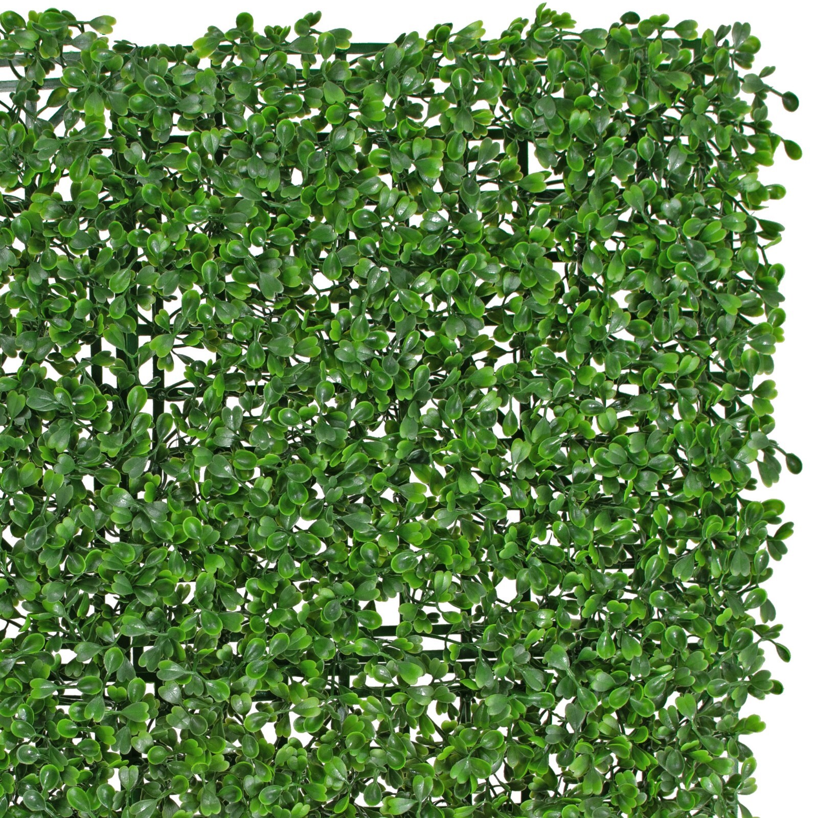 Artificial Boxwood Topiary Wall Panels, Green Hedges and Privacy Screen, 8 SQFT
