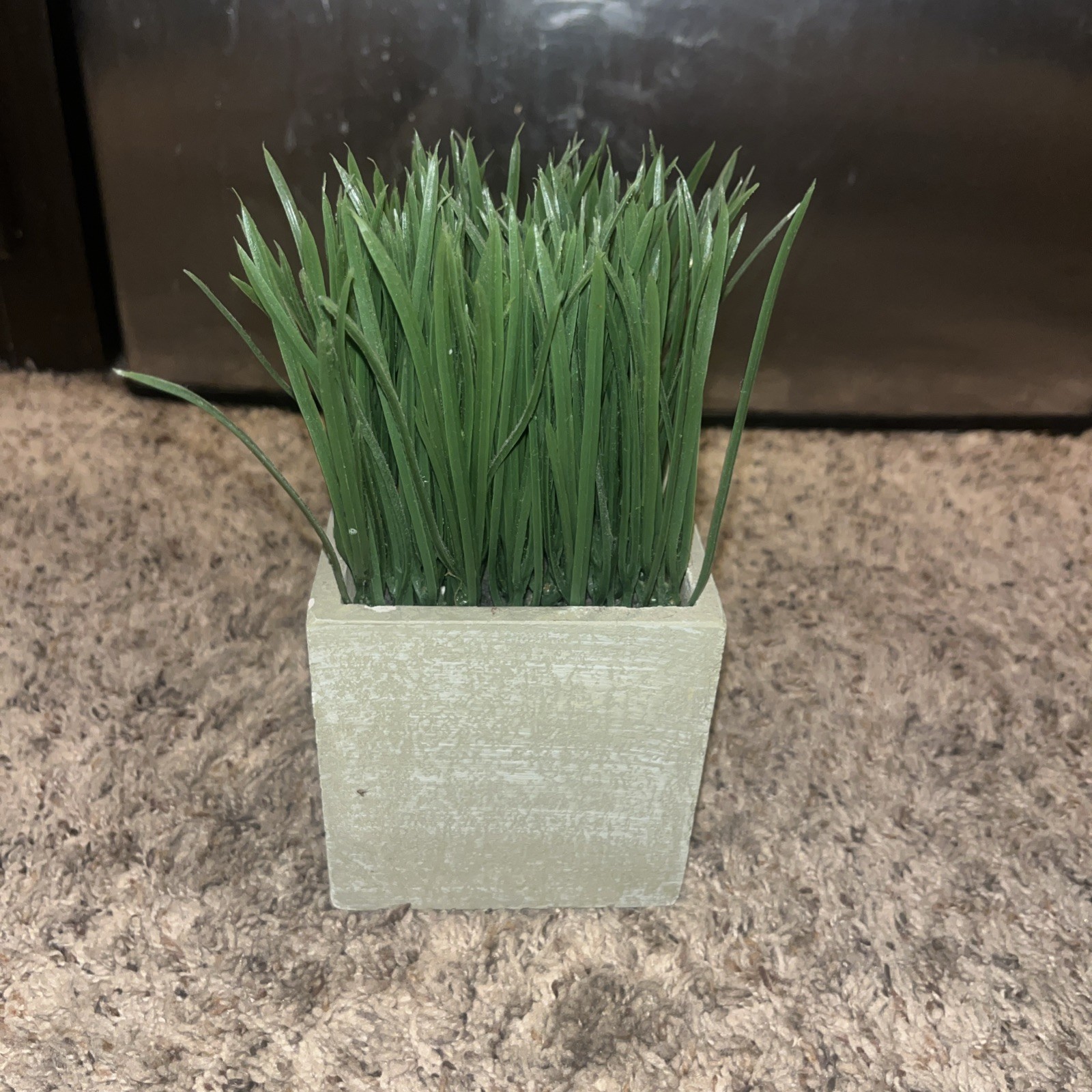 RusticReach Faux Grass in Black Pot￼