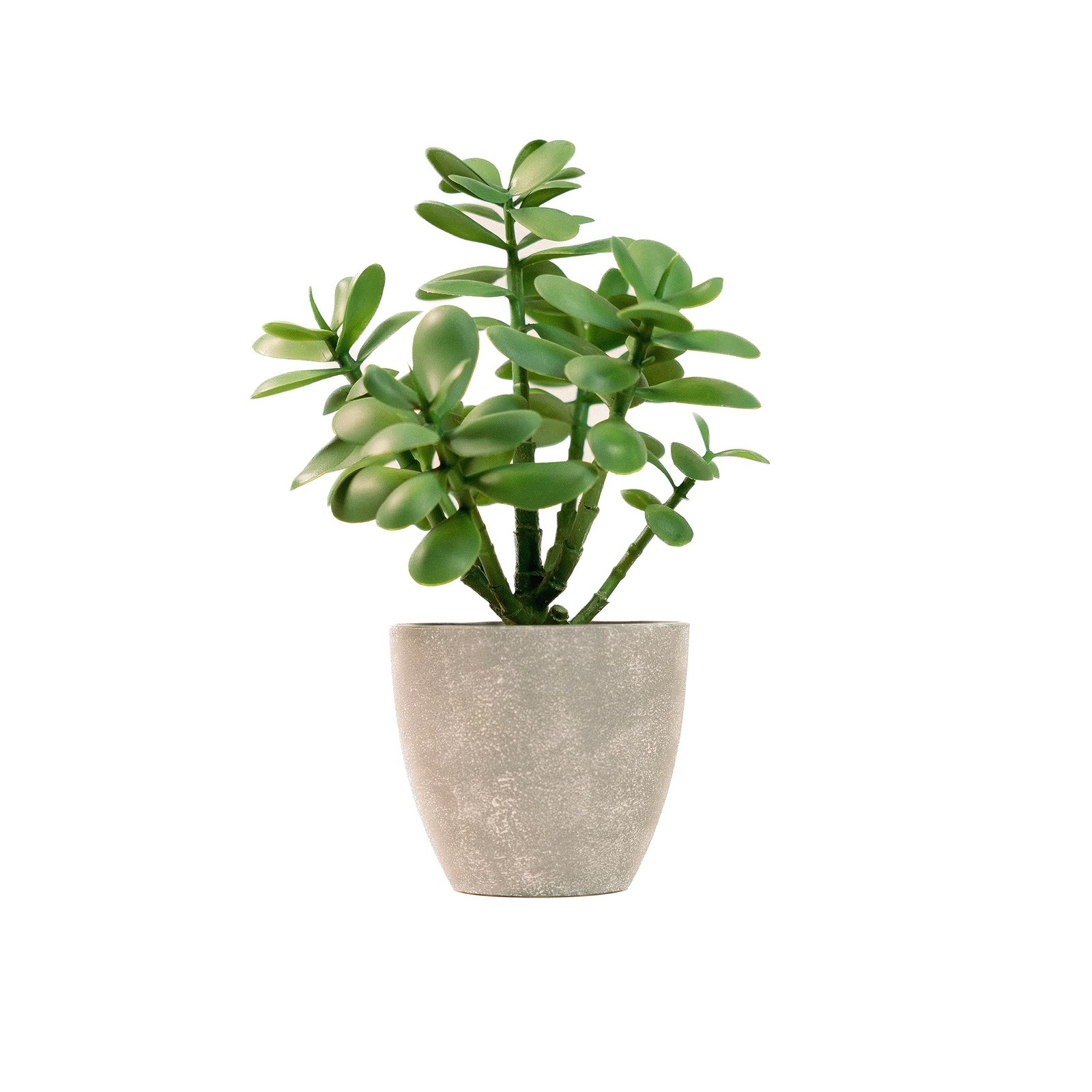 365 Blooming Decor 12” Artificial Jade Plant in Minimalist Gray Pot, Luxury R…