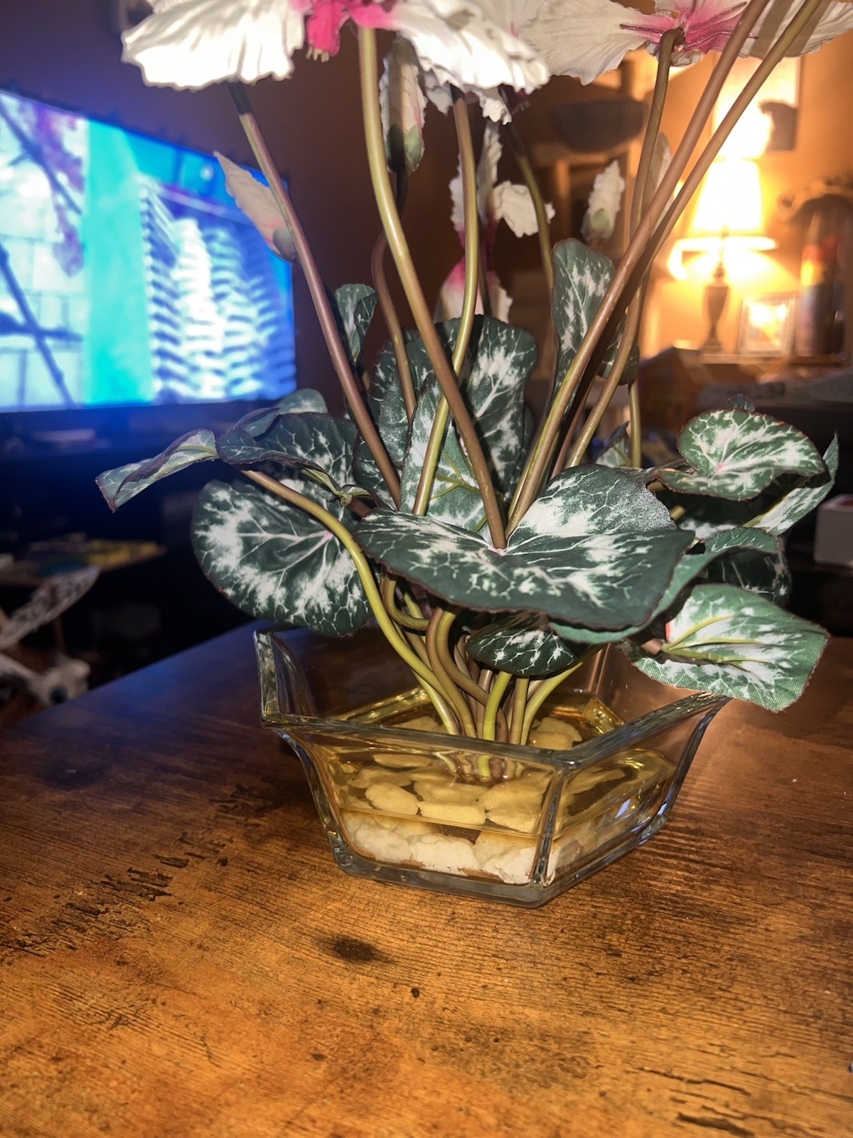 Artificial Cyclamen Persicum House Plant, Glass Dish w/ Water & Rocks
