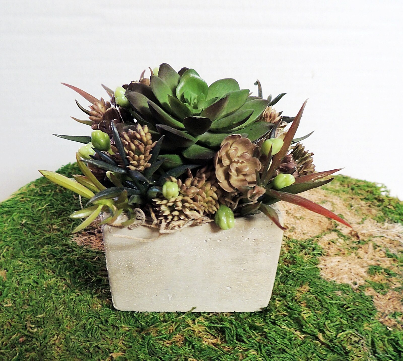 BEAUTIFUL FAUX SUCCULENT FLORAL ARRANGEMENT in SQUARE CONCRETE HANDMADE NOWATER