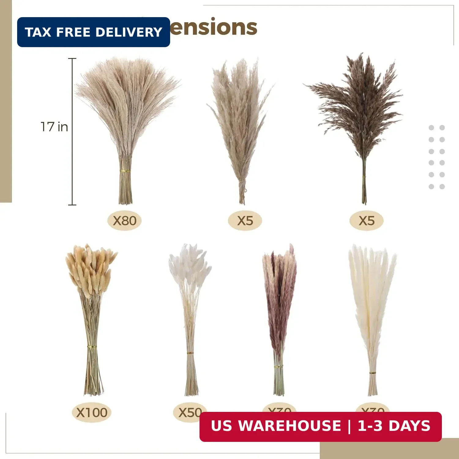 300 Pcs Dried Pampas Grass Bouquet – Natural Eucalyptus & Bunny Tail Grass, Boho