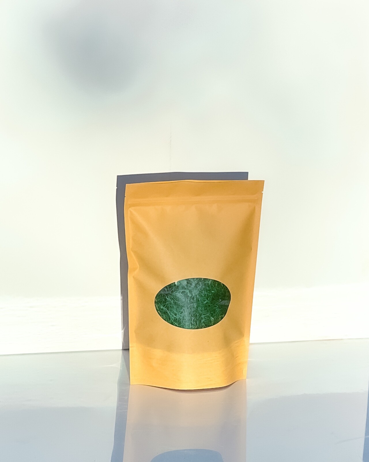 12 oz. Natural & Preserved Spanish Moss – Premium Quality, Vibrant & Versatile