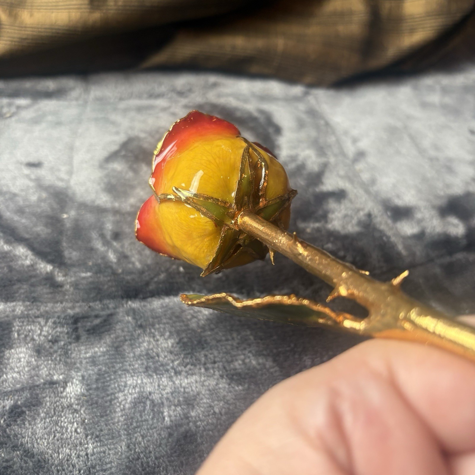 Vintage Forever Rose Lacquer Dipped 24k Gold Trimmed Yellow/Red Two Tone Rose