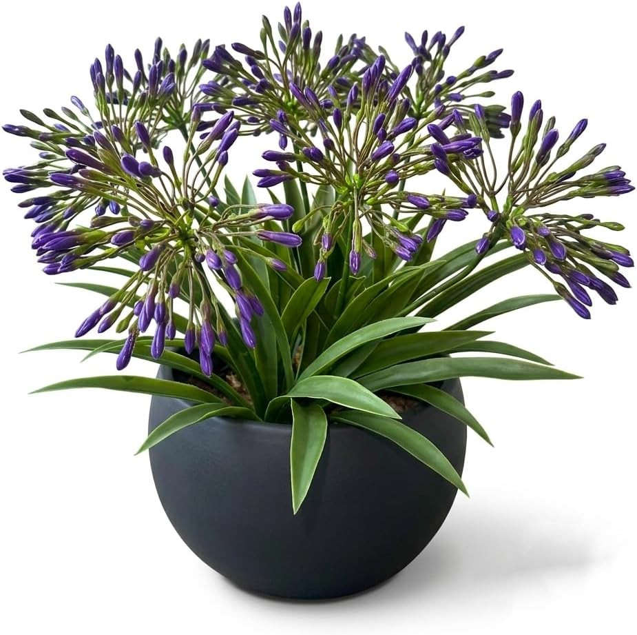 Realistic Artificial Agapanthus Flowers for Outdoor Decor – Purple Red White