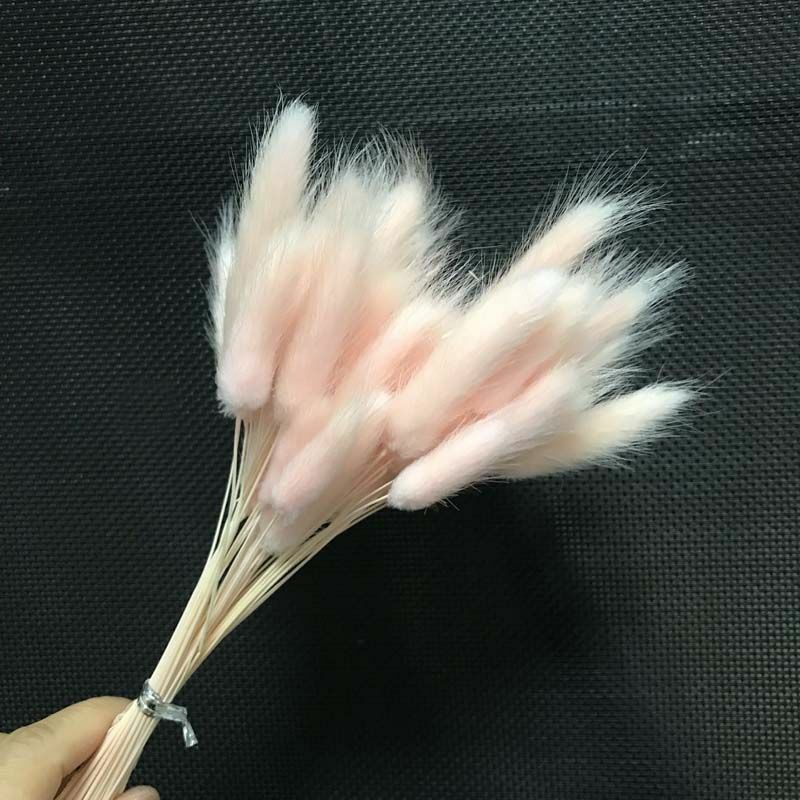 35-40CM 50PCS Dry Bunny Tail Grass Dried Natural Flower Rabbittail DIY Decor NEW