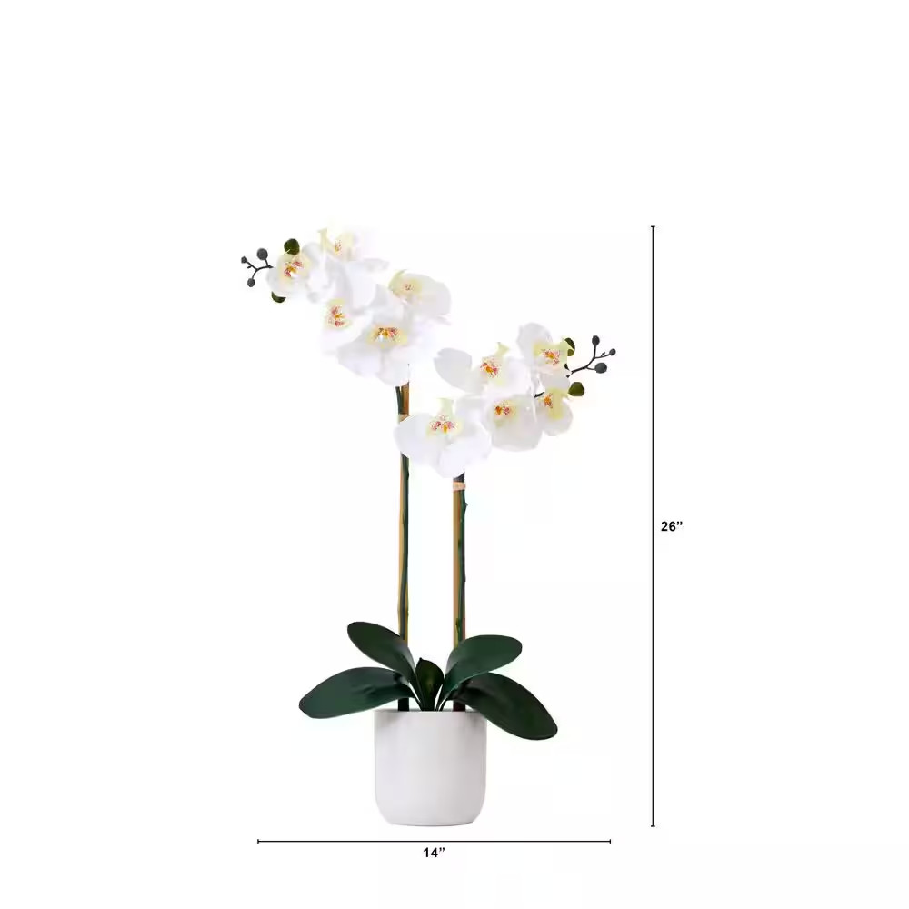 26 In. White Artificial Double Orchid Phalaenopsis Floral Arrangement with Decor