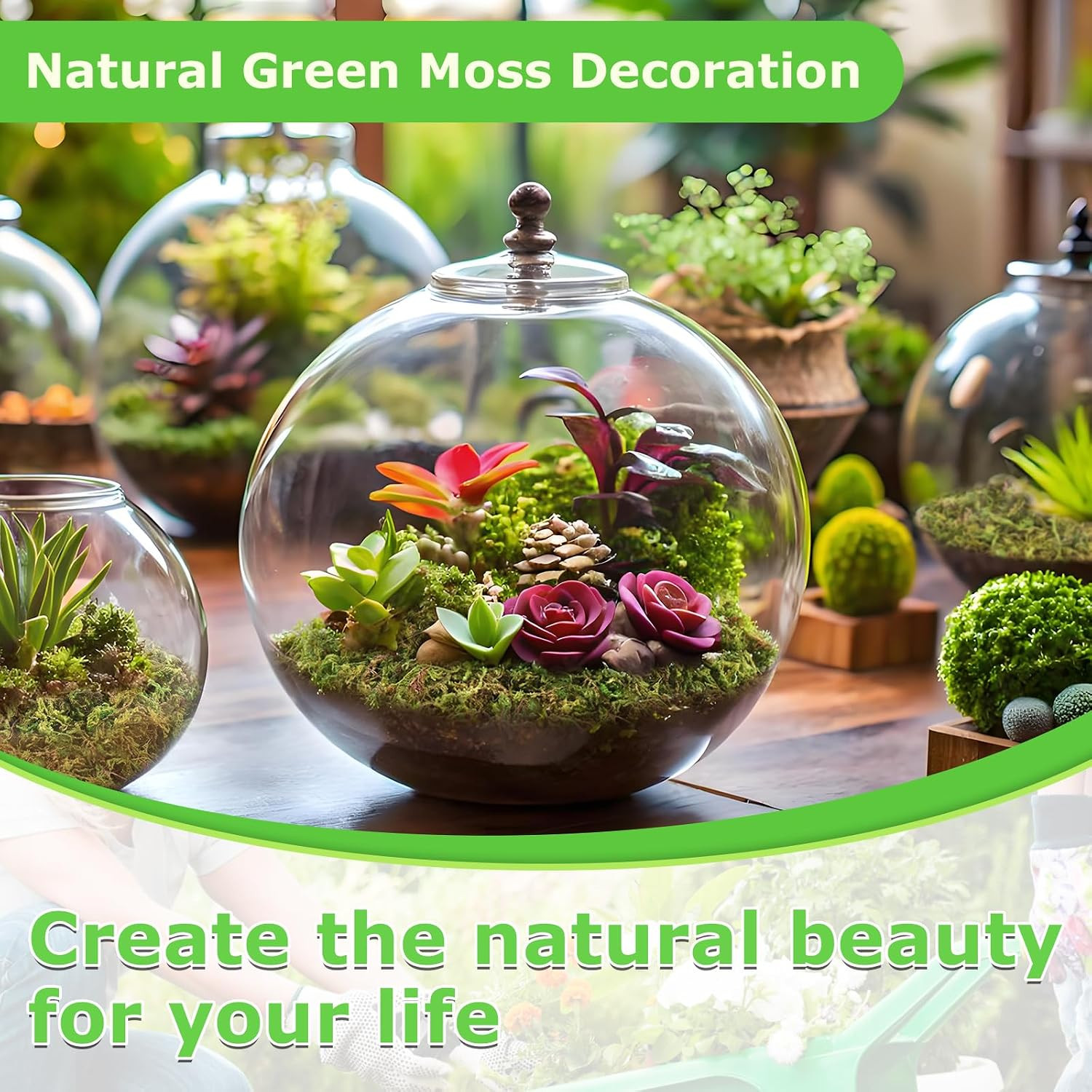 1.3 LBS Green Moss for Plants Indoor, Crafts Moss for Artificial Plants, Decorat
