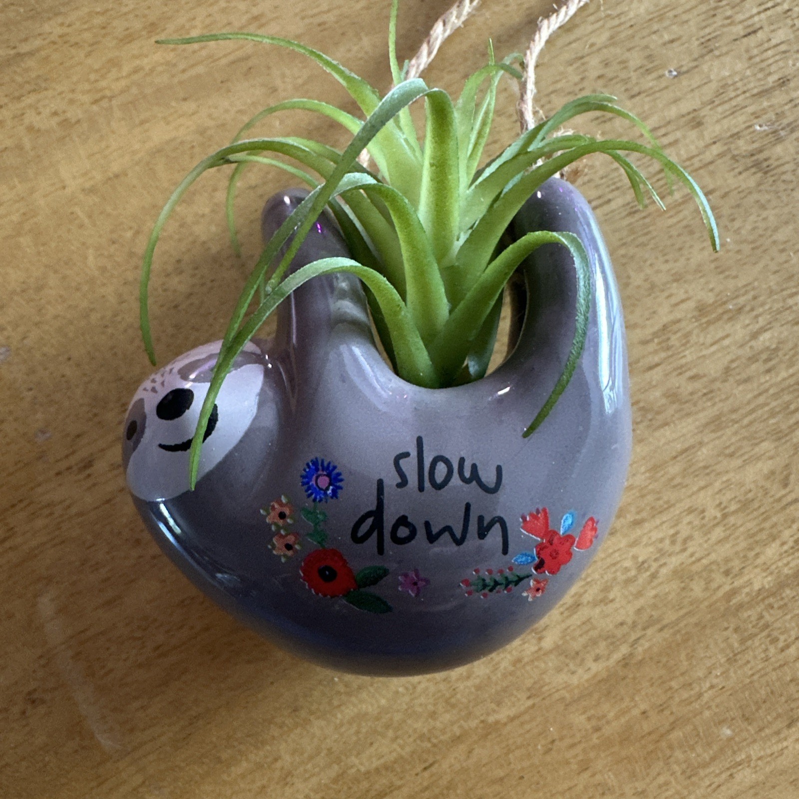 Sloth 🦥Grey Mini Hanging Critter Faux Air Plant Succulent Natural Life Collect