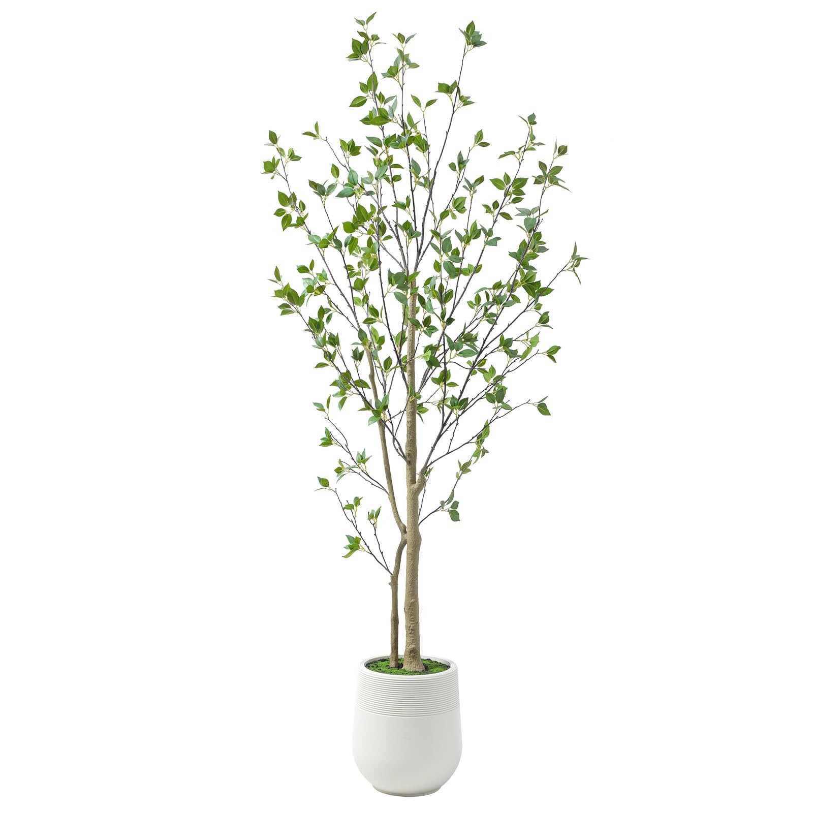 6ft Minimalist Artificial Citrus Tree with Large Exquisite Planter, 72in Faux…