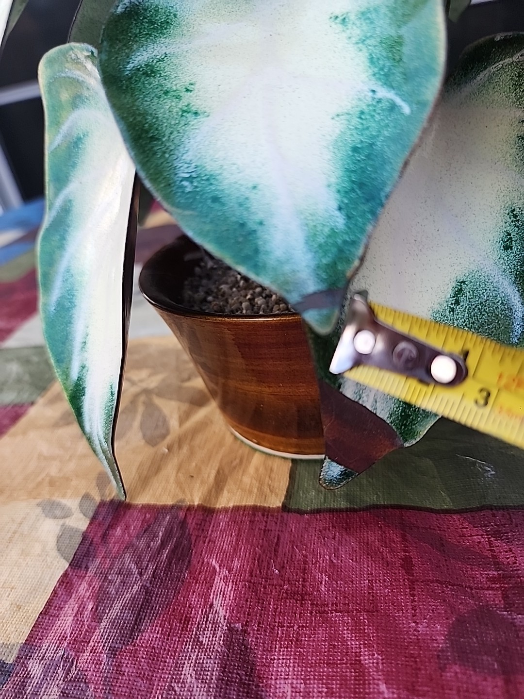 Vintage Enameled Metal Faux Variegated Alocasia Plant W Glazed Brown Pot *READ*
