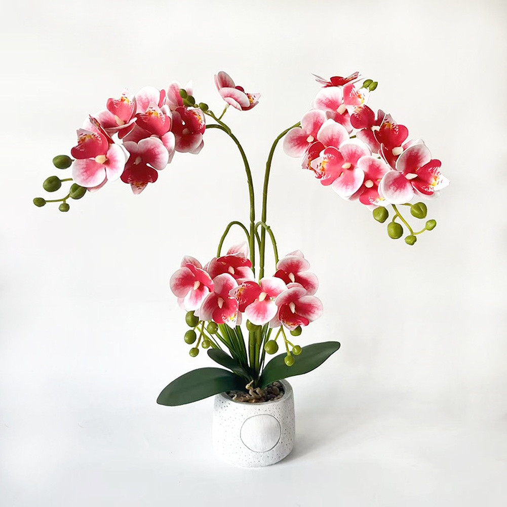 24-Head Artificial Orchid with Delicate Buds and Leaves in Speckled Pot