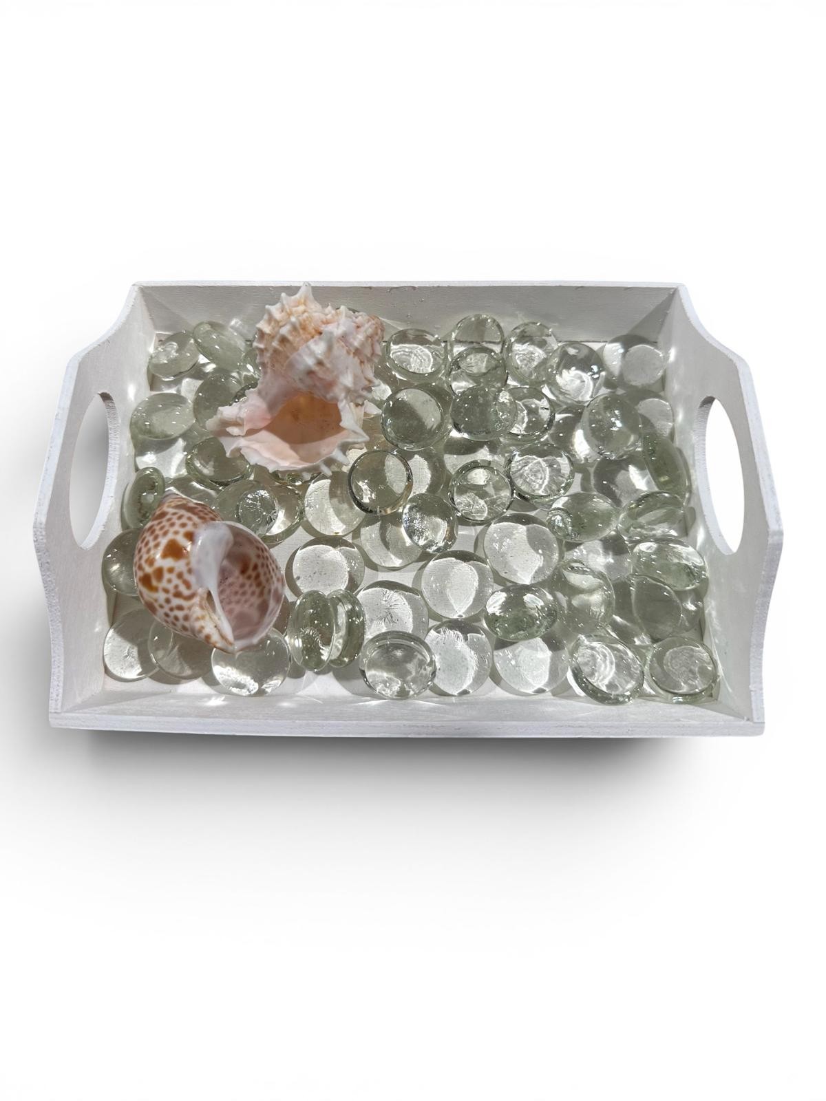 Air Plant Display Kit 4 Tillandsia Tray Glass Gems Shells Coastal Live Decor