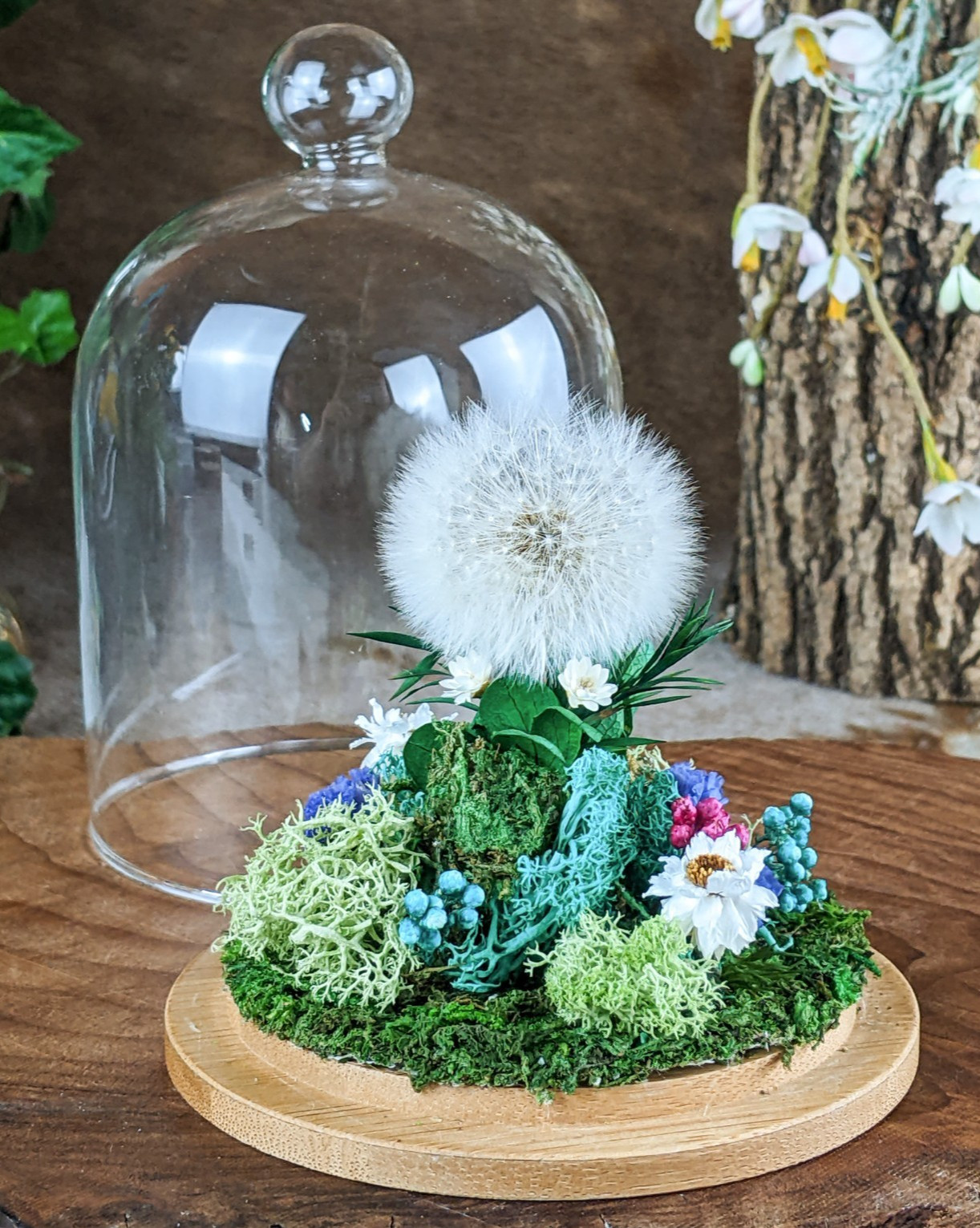 Dandelion Head all natural flowers Lg Glass Dome display collectible decor gif