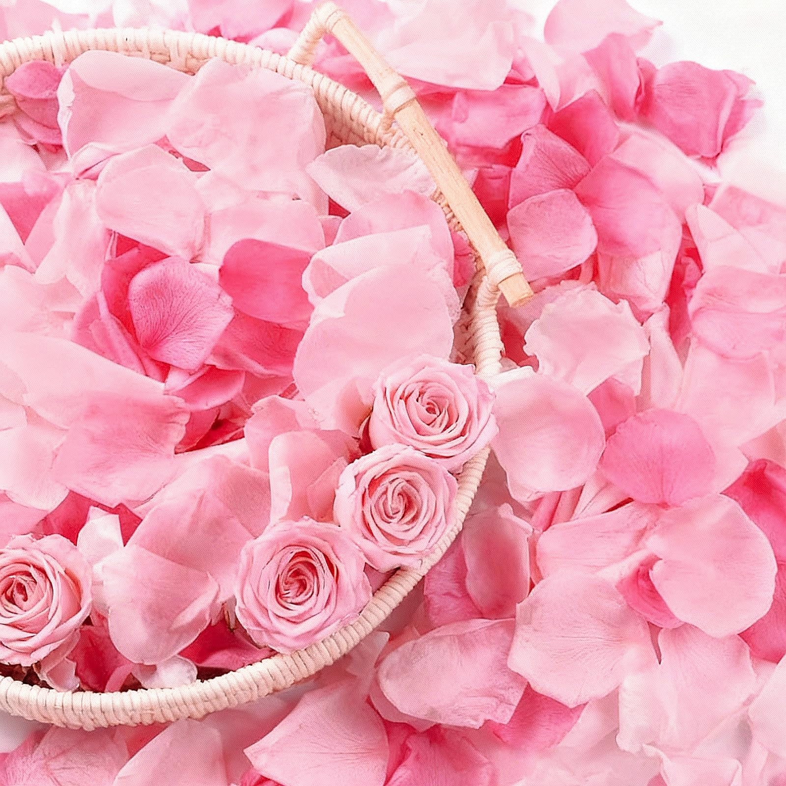 180 PCS Dried Real Pink Rose Petals,Freeze Preserved Rose Flower Petals,Dried…