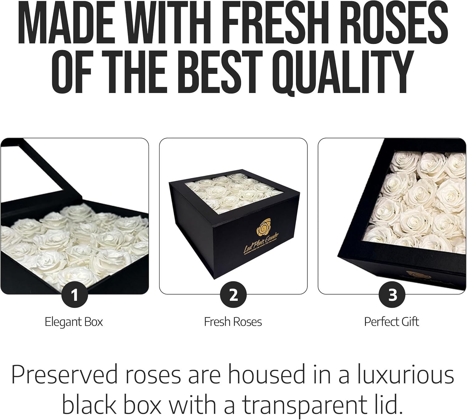 Premium Real Preserved Roses 16 PCS 100% Real White Roses Lasting Up to 3 Years