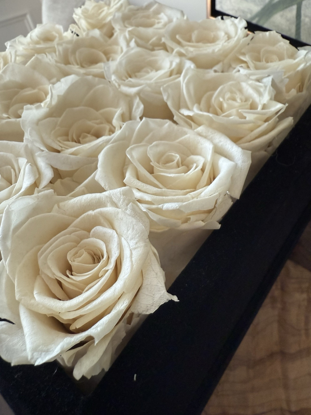 Rose Forever New York Real Preserved 16 White Roses Rose Black Velvet Square Box
